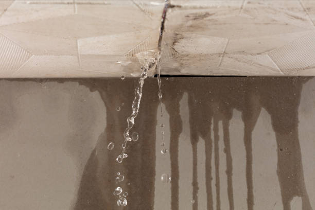 Professional Water Damage Repair technician working in Clinton, TN